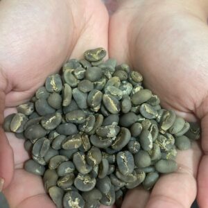 Sumatera Arabica Koerinci Green Bean (1 kg)