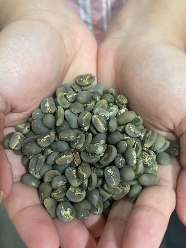 Flores Arabica Bajawa Green Bean (1 kg)