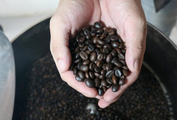 West Java Arabica Preanger Roasted (1 kg)