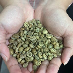Bali Robusta Pupuan Green Bean (1 kg)
